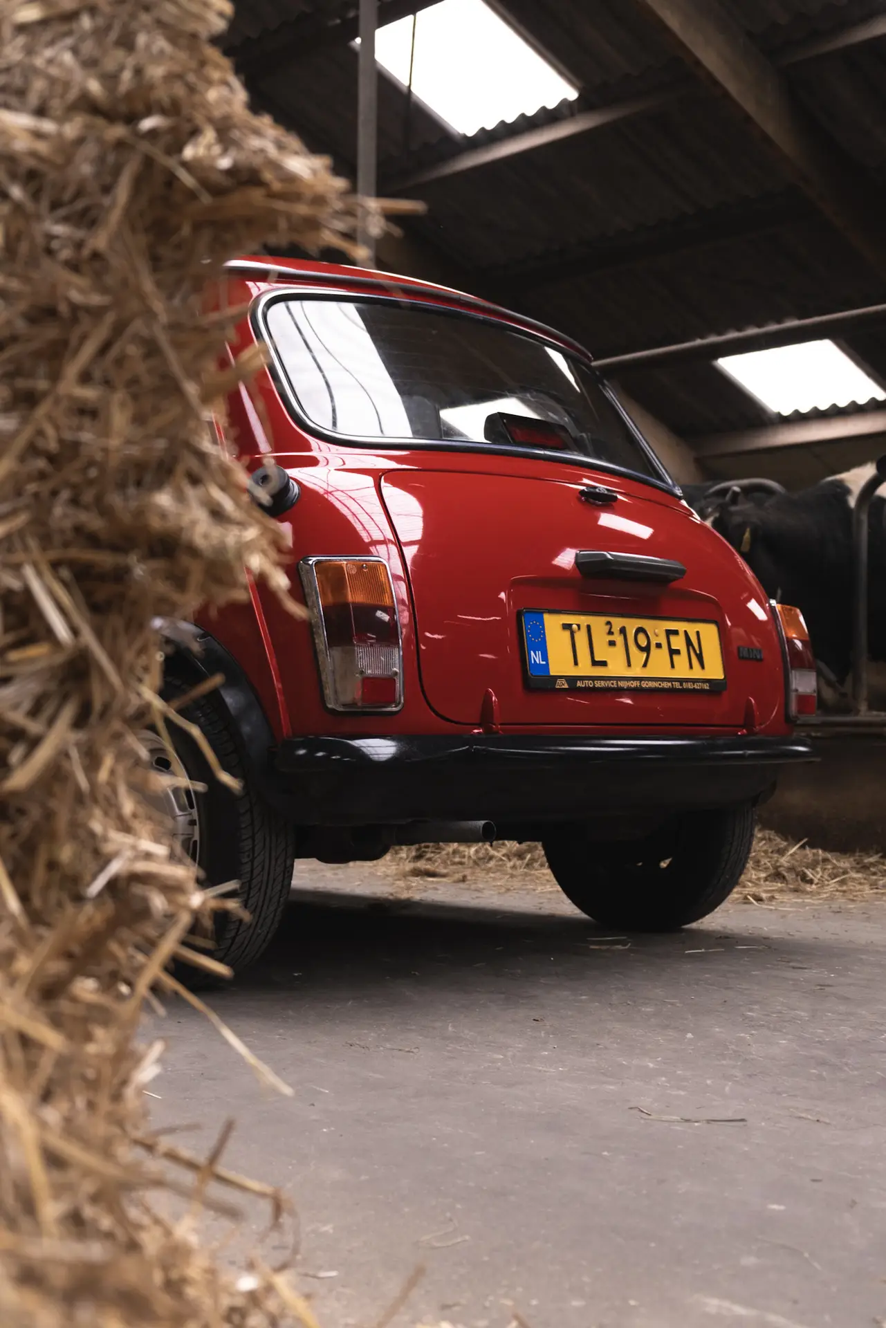 The back of a red Austin Mini 1000 E Magic with straw on the left