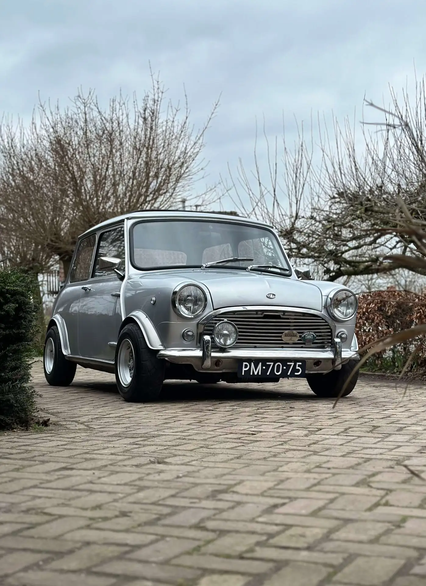 mini classic group B rally arches