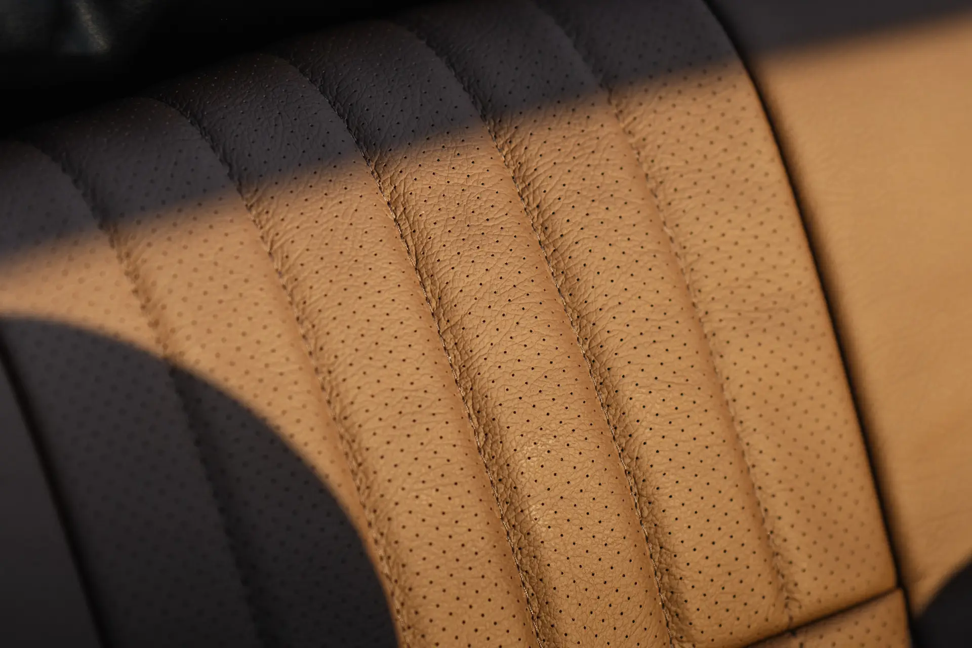 brown leather seat close-up with perforated leather. burgundy brown